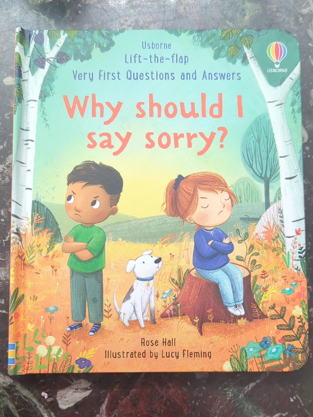 Usborne Why Should I Say Sorry? - Green, Blue, Orange